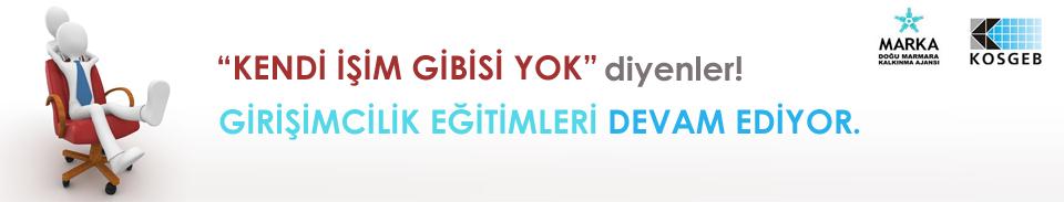 Genç ve Kadın Girişimciler İşbirliği Ağları Genç ve kadın girişimciler işbirliği ağları