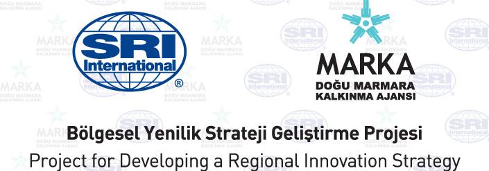 Doğu Marmara Bölgesel Yenilik Stratejisi ve Yol Haritası Geliştirme Projesi Doğu Marmara Bölgesi nde