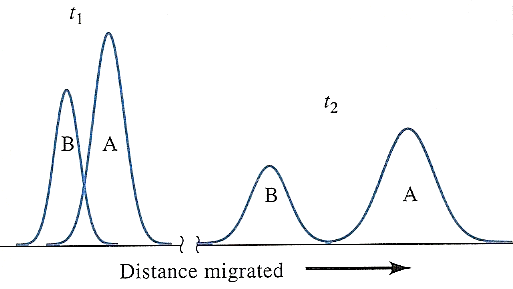 8 t 1 Konsantrasyon t 2 Göç edilen mesafe, L Şekil-3: A ve B maddeleri kolondan aşağı ilerlerken iki ayrı noktada alınan konsantrasyon profilleri İyi bir kromatografik ayırmada, (a) maddelerin göç