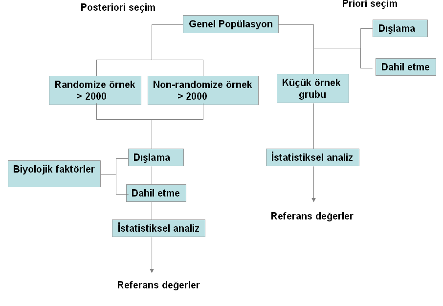 Şekil 1: