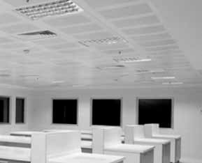 Metal ceilings and a shared office space suitable decorative lighting