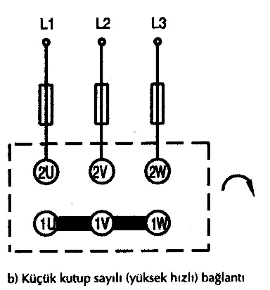 Örneğin, 1U birinci fazın orta ucu 2U yerine 2W, 1 W üçüncü fazın orta ucu 2W yerine 2U gibi Dahlander sargılı motorlar, tam kalıp sargılıdır.