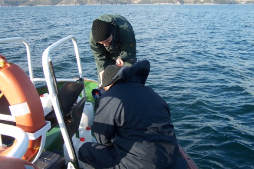 .. Ekosistem Analizi: Havzaya ait biyolojik çeşitlilik ve koruma