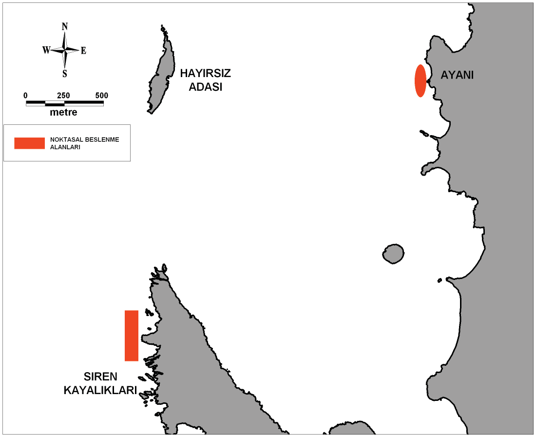 Şekil 6. Akdeniz Foku nun noktasal beslenme alanları (Foça ÖÇKB Kıyı Alanları Taşıma Kapasitesinin Belirlenmesi Projesi Raporu, SAD; ÖÇKKB Projesi 20