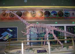 Kariyere Yolculuk Tunçsiperliler Bilim Gezisinde Tunçsiperliler Sular Altında T unçsiperliler, Türkiye nin ilk dev akvaryumu Turkuazoo yu ve dünyanın en büyük dinozor parkı olan