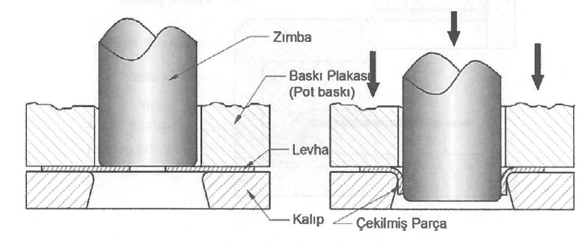 PLASTİK ŞEKİL