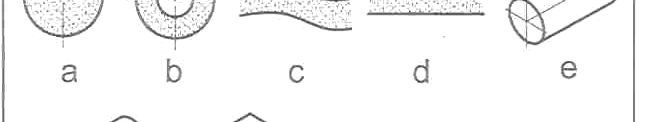 Daire yüzey (daire ekseni bu dairesel tolerans bölgesi içinde bulunabilir demek) b.