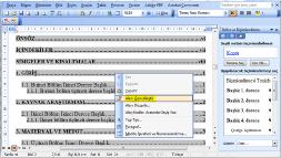 Tezin bir kısmını yazdıktan sonra veya tamamı yazıldıktan sonra içindekiler listesi üzerinde sağ klik