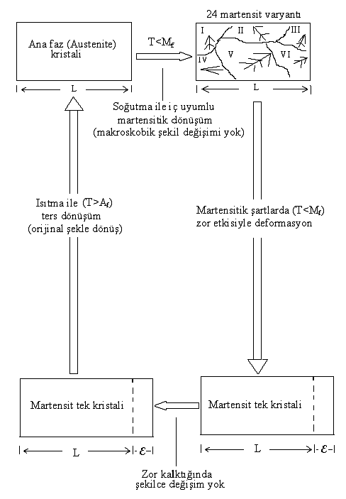 ġekil 3.1. Şekil hatırlama olayının mekanizması (Eskil, 2006) 3.