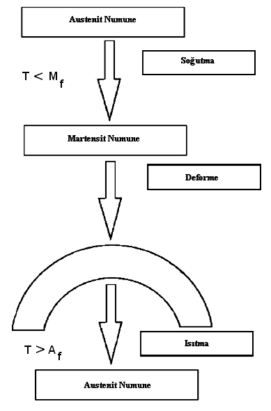 sonucunda deformasyon öncesi orijinal faz yöneliminin tekrar elde edilebilmesi, tek yönlü şekil hatırlama olayının temel mekanizmasıdır (Friend, 1986). Şekil 3.