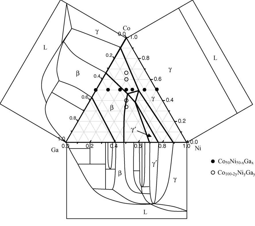 alaşımları termoelastik martensit dönüşümüyle paramagnetik yapıdan ferromagnetik yapıya geçerler (Jian Liu ve ark, 2005). Şekil 4.3 de CoNiGa alaşımının faz diyagramı verilmiştir.