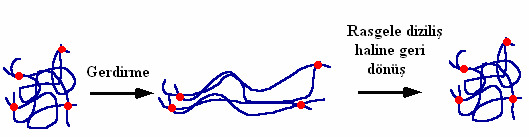 9 1.1.2.3 Elastomerler Elastomerler, termosetler gibi çapraz bağlı bir yapıya sahiptirler ve uzun zincirli yapıdadırlar.