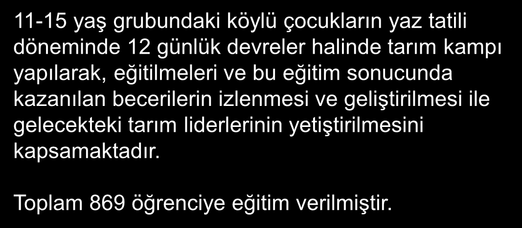 EKONOMİK GELİŞMEYE YÖNELİK ÇALIŞMALAR Tarımsal Araştırma ve Geliştirme Projeleri GAP Bölgesi Sulama Sistemlerinin İşletmesi Bakımı ve Yönetimi Projesi Sulama Dışı Alanlarda Halkın Gelir Düzeyinin