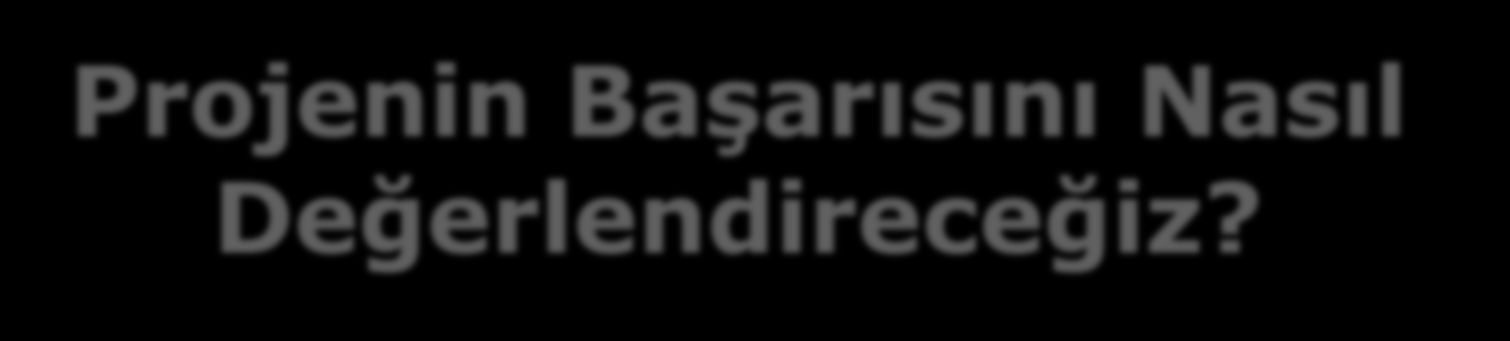 Projenin Başarısını