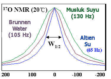 NMR ile su kümelerinin boyutunu nasıl çıkarabiliriz?