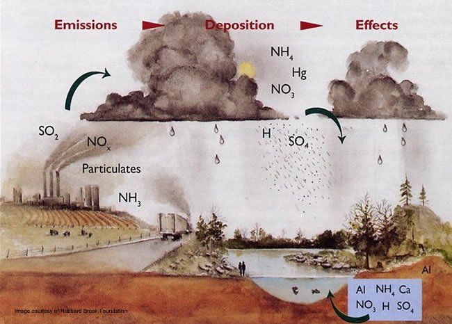 Asit yağmurları: Yağışlı havalarda yeryüzüne düşen yağmur suyunun ph ı 5,5 tur. Hava kirliliğinin olduğu bölgelerde (sanayi ve büyükşehirler) suyun ph önemli ölçüde azalır.