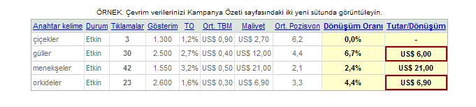 4. Kurulumun son ekranında önce Çevrim sayfası dilini seçmeniz, ardından Güvenlik seviyesi olarak https:// seçeneğini işaretleyin. Bu iki özelliğe göre sayfanın 3.