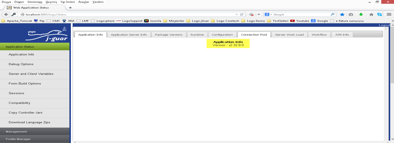 Web Application Status Programın içinde olduğu ve yapılmış ayarları takip edebileceğiniz diğer program alanı; http://localhost:8080/logo/status adresidir.
