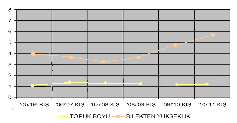 Şekil 18. 2005-2011 sezonu modellerin topuk boyu ve bilekten yükseklik ölçüm ortalamaları (Figure 18.