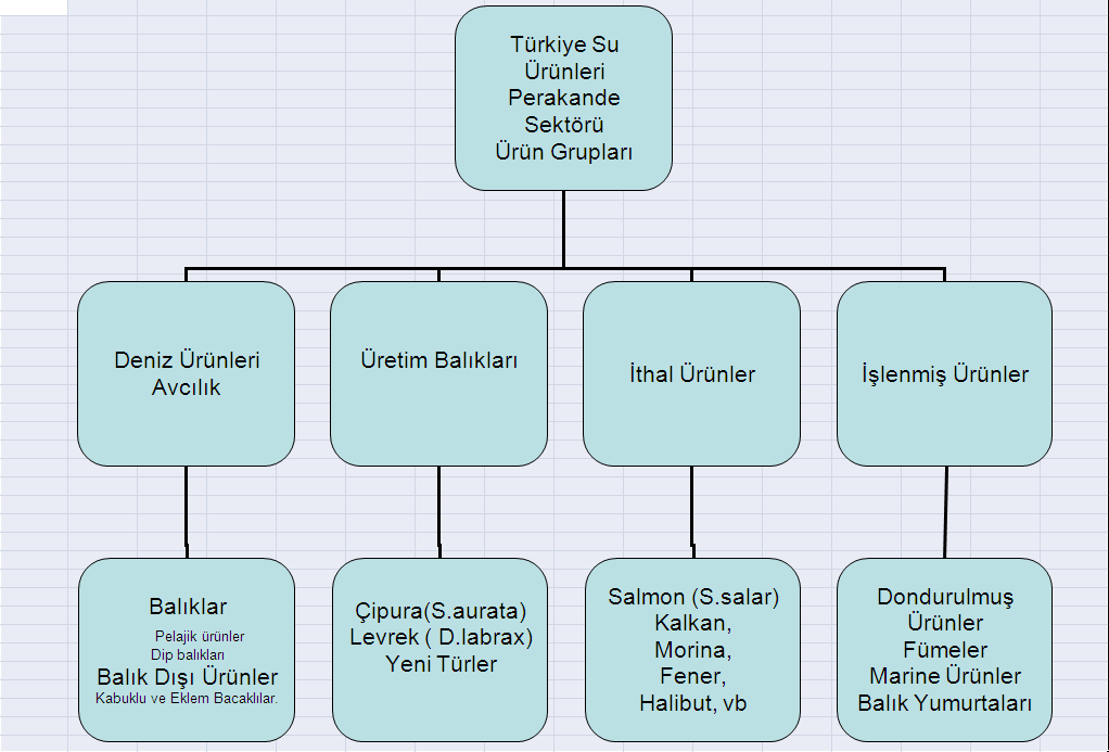 Türkiye Zincir Marketler Ürün