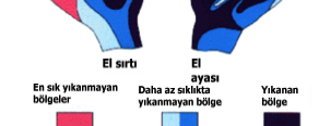 Geçici flora; bireyin tükürük, burun ifrazatı vb. ile kirli araç ve gereçlerden bireyin eline bulaşan ve derinin yüzey kısmına yerleşen mikroorganizmalardır.