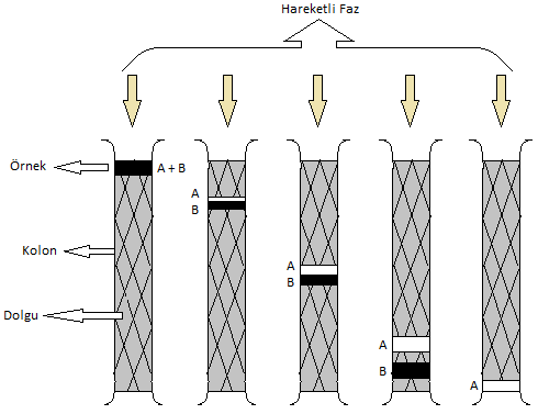 DENEY 3 KROMATOGRAFĠ Kromatografi, bir karışımdaki iki ya da daha fazla bileşenin, hareketli (taşıyıcı) bir faz yardımıyla, sabit (durgun) bir faz arasından değişik hızlarda hareket etmeleri ve