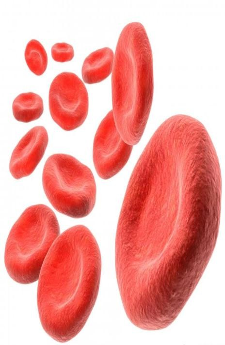 Hemoglobin Siyanhemoglobin yöntemi ile fotometrik olarak ölçülür.