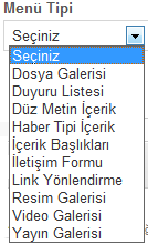 Üst kategori butonu ile oluşturulan menünün direk ana menüde mi yoksa başka bir menünün alt başlığı