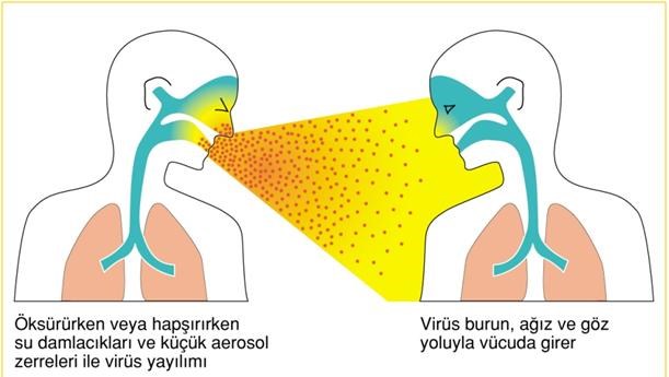 Kış ürünleri, eczane ürün gamı içinde önemli bir yer tutar, bu yüzden eczacı olarak bu hastalıklarda semptomları iyi bilmeniz, güvenilir, uygun tavsiyelerde bulunmanız çok önemlidir.