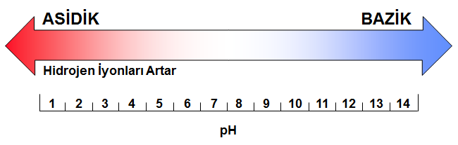 Suyun ph Değeri: Suda yaşayan canlılar suyun ph değerine karşı son derece hassas olduklarından, suyun ph ı son derecede önemlidir.