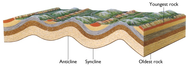 KIVRIM VE KIVRIM TİPLERİ Tabakalı kayaçların dalga şeklindeki deformasyonlarına kıvrım denir. Kıvrımların boyları mm mertebesinden km mertebesine kadar değişir.