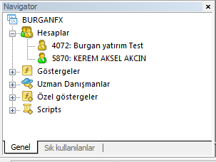 Uzman Danışman seçeneği, platformda mevcut olan danışmanları listelemektedir. Uzman Danışman, MetaQuotes Dili 4 (MQL4) ile yazılmıştır ve herhangi bir trading stratejisine uygulanabilmektedir.