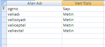 18 OgrNo alanında iken aşağıda gösterilen anahtar simgesine tıklayarak alanın birincil anahtar olarak belirlenmesini sağlıyoruz.