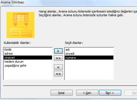 değerleri tablodan alınsın seçeneğini seçelim