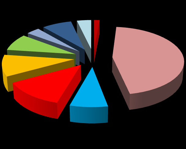 Index Grup Şirketleri 2010-2011 Satışların Ana Ürün Gruplarına göre Dağılımı Bilgisayar Ürünleri OEM Ürünleri Tüketici Elektroniği Tüketim Malzemeleri Yazıcı ve Çevre Birimleri Network Ürünleri