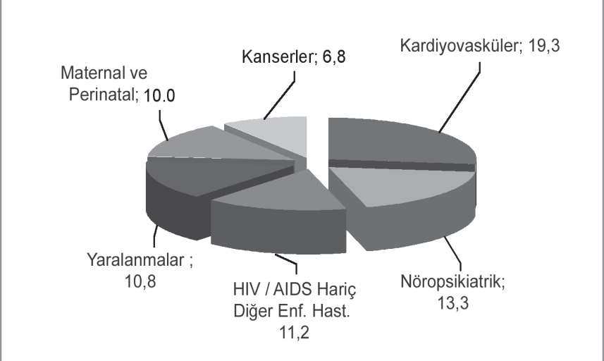 Kaynak: Ulusal Hastalık Yükü ve Maliyet Etkililik Çalışması Hastalık Yükü Final Raporu, Ankara, 2005 Grafik-1.