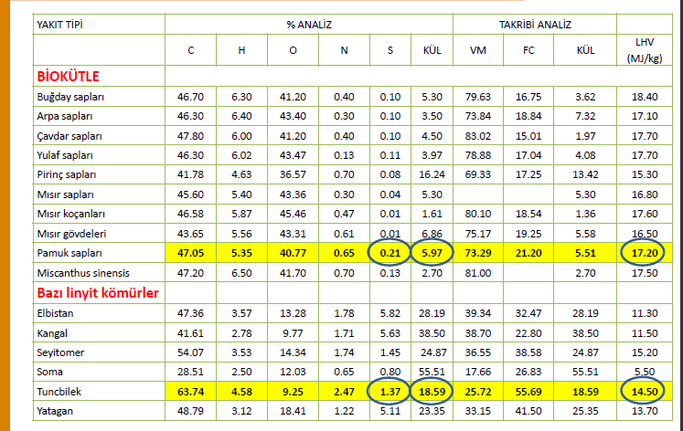BİYOKÜTLE ENERJİ İÇERİĞİ