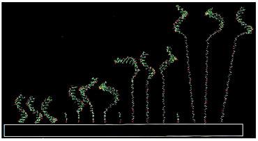 Microarray ler nasıl üretilir ve nasıl çalışır?