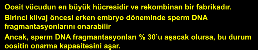 Birinci klivaj öncesi erken embryo döneminde sperm DNA