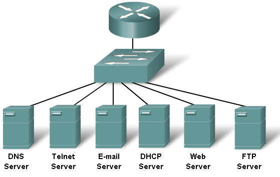 TCP / IP IP Adresi DHCP HTTP DNS