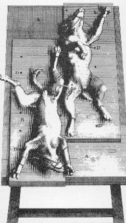 1665 Richard Lower Köpekten köpek peğe e ilk kan naklini yaptı (köpek