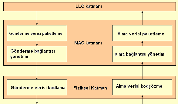 IEEE 803.