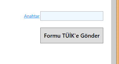 Form göndermek için anahtar oluşturma işlemi: 1. 'Anahtar' linkine tıklayın. TÜİK veri giriş ekranı sayfasına yönlendirileceksiniz.