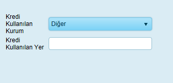 Kredi Kullanılan Yer Kredi Banka ya da Kooparatif ten alınmadı ise kredi kullanılan yer bu alana girilir. 3.2.9.