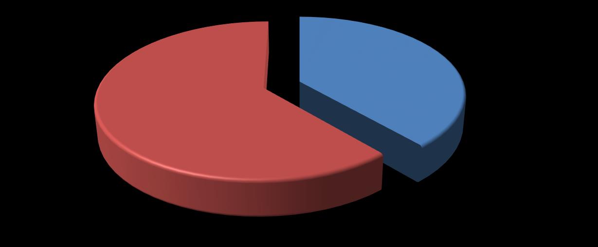 OCAK 2013 HAZIR ÇORBA ÇEŞİTLERİ SATIŞLARIMIZ 39% 6 Ocak 2013 Tutarsal