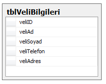 Soru: Veli bilgilerini tutan bir tablo oluşturunuz. 1.1.1. Kesin Sayısal Veri Tipleri Resim 1.