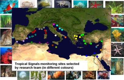 Deniz Suyunda Sıcaklık Değişimlerinin izlenmesi Tropical Signals Program CIESM tarafından sürdürülmekte olan Akdeniz deki tropikleşme sürecinde sıcaklık artışının biyolojik göstergelerle izlenmesi