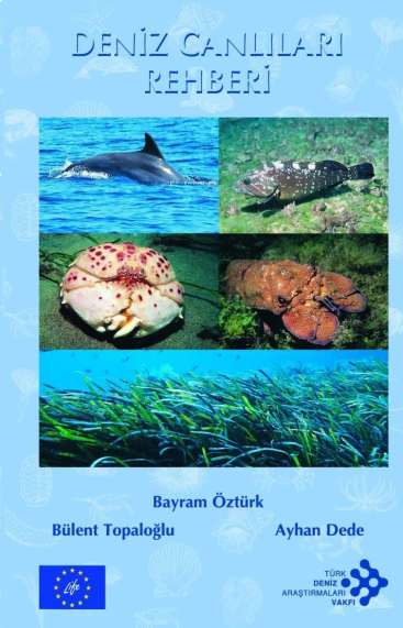 Yayınlarımız (Life Projesi Eğitim Serisi) Life projesi kapsamında yetişkinler için rehber kitap olarak hazırlanan bu çalışmada, 157 denizel tür tanıtılıyor.