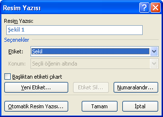 ġekil 7.6: Resim Yazısı penceresi Resim yazısı kısmına ilgili yazımız yazılır. Etiket kısmından denklem, Ģekil, tablo gibi seçeneklerden ilgili nesnemiz seçilir.