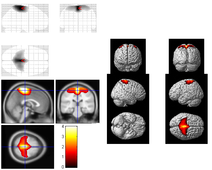 Sensory-Motor 0.4 0.2 0-0.